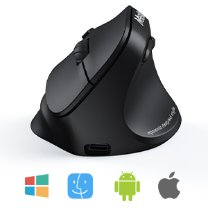 Right-Handed Ergonomic Wireless Mouse