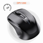 MOUSE