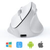 Right-Handed White Ergonomic Wireless Mouse