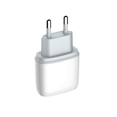 20W Switch Control Fast Charger A2424C