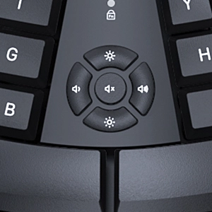 2.4 GHz WIRELESS COMBO DirectorC