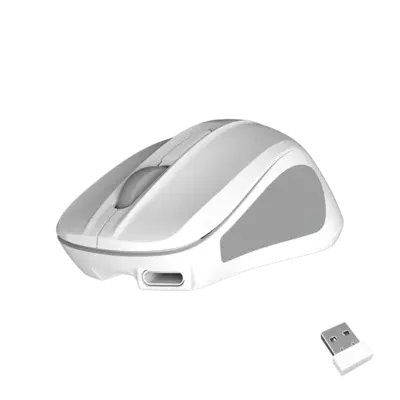 2.4G White Wireless/Bluetooth