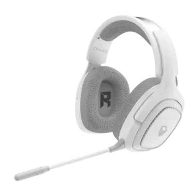 Three-Mode Wireless Gaming Headset