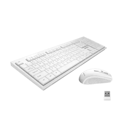 2.4GHz Wireless Combo C4120little
