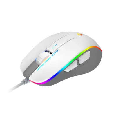 2023 RGB Circulation BacklitGaming Mouse