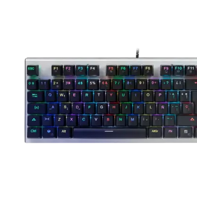 TKL RGB Backlit Multimedia Blue Switch Mechanical Gaming Keyboard
