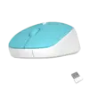 Wireless Silent Mouse