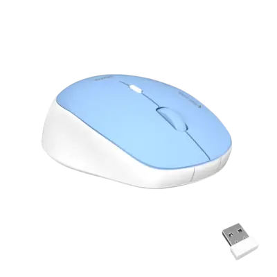 Wireless Silent Mouse
