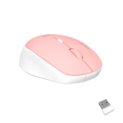 Wireless Silent Mouse