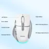 Wireless Dual-Mode Ergonomic Mouse