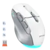 Wireless Dual-Mode Ergonomic Mouse