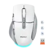 Wireless Dual-Mode Ergonomic Mouse